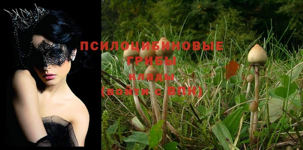a pvp Богородск