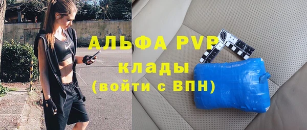 мяу мяу кристалл Богданович