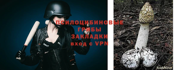 a pvp Богородск